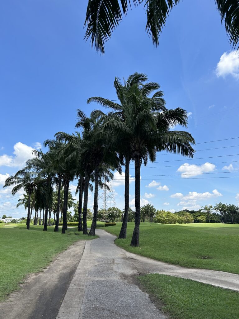 푸른숲 오디세이와 친환경 웰니스에서 나만의의 오아시스를 찾다.