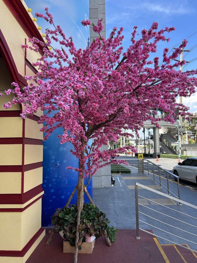 불편함을 참는 뇌 img 4194