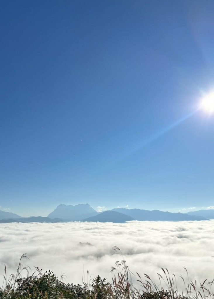 Wellness letter(짧은 편지) img 4217