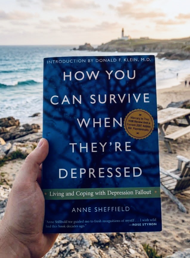 자기혐오와 우울감을 치유하는 도서 How You Can Survive When They're Depressed